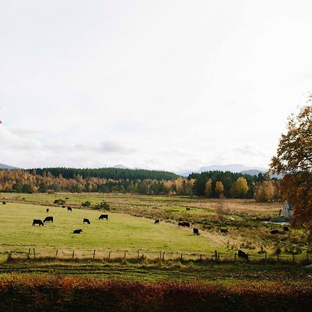 Apartmán The Dell Of Abernethy - A Woodland Hideaway Nethy Bridge Exteriér fotografie