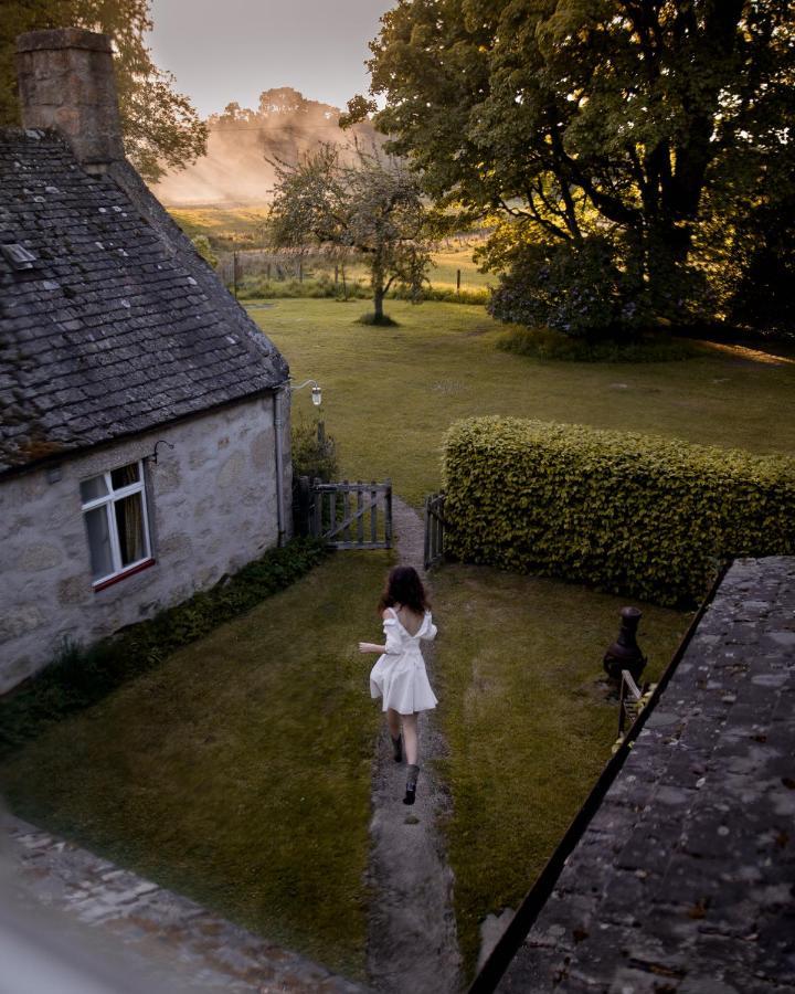 Apartmán The Dell Of Abernethy - A Woodland Hideaway Nethy Bridge Exteriér fotografie