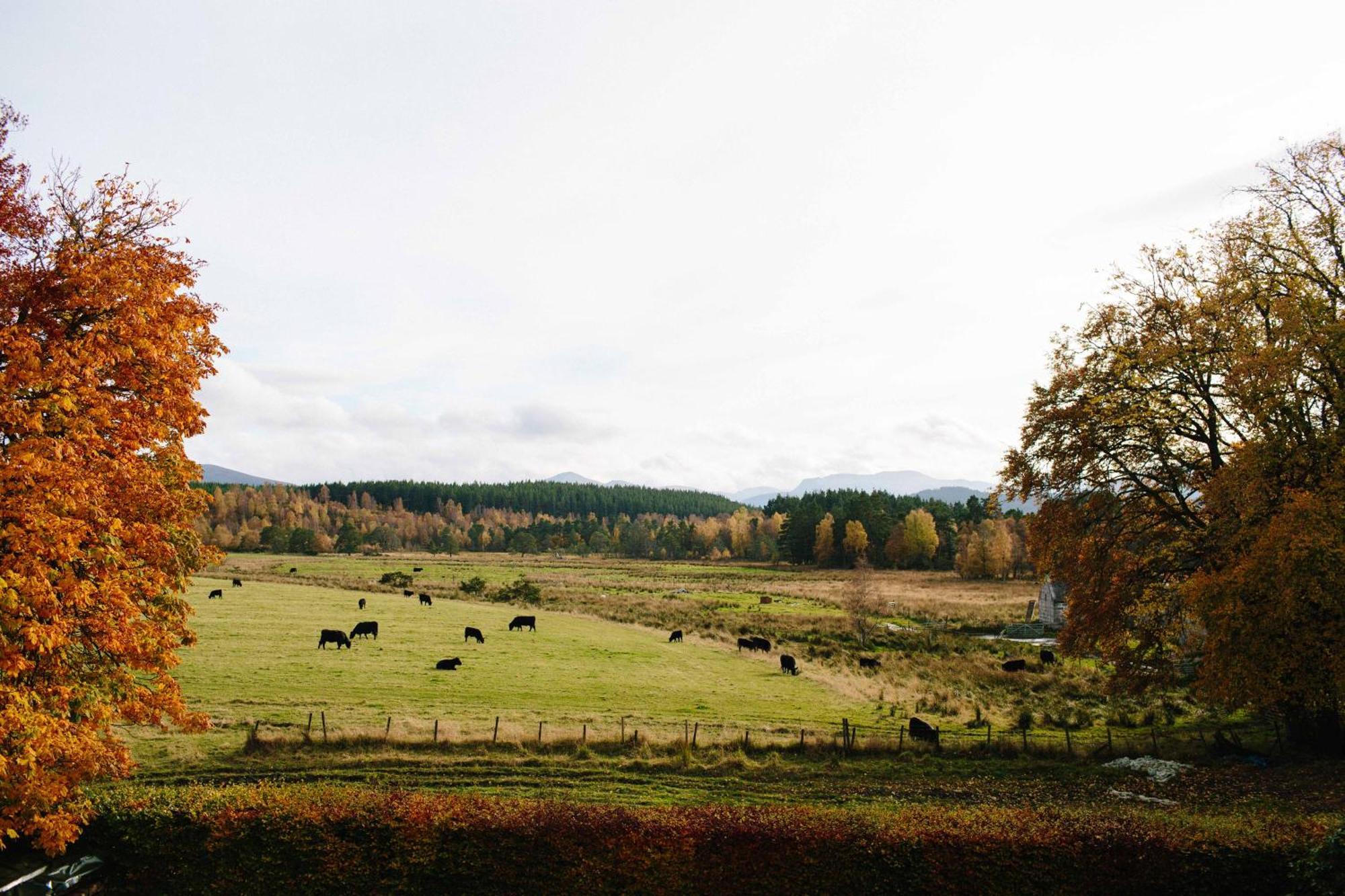 Apartmán The Dell Of Abernethy - A Woodland Hideaway Nethy Bridge Exteriér fotografie